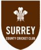 Surrey cricket club