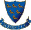 Sussex cricket club